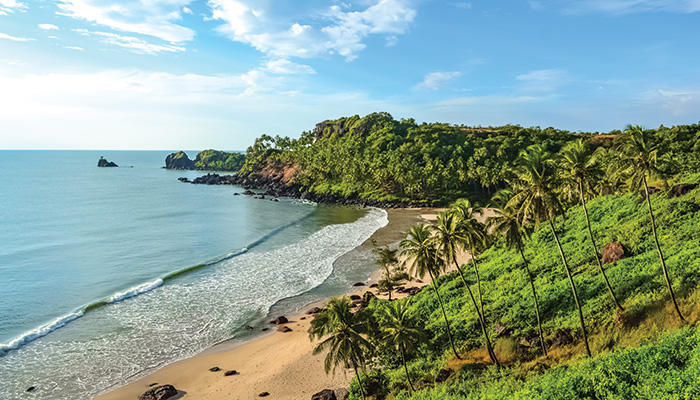 Why Goa is the Ultimate Destination to End Your Year with a Bang